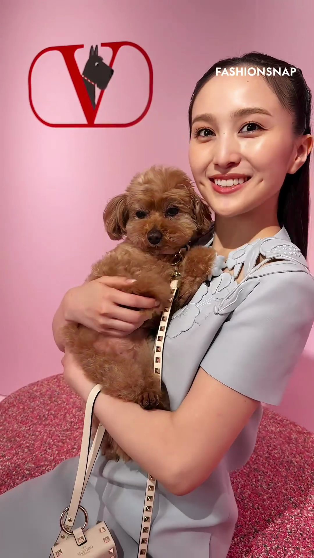 完売品　ジェラートピケ　ジャガード　ブランケット　犬　百田夏菜子　ももクロ 完売品 ジェラートピケ ジャガード ブランケット 犬 百田夏菜子