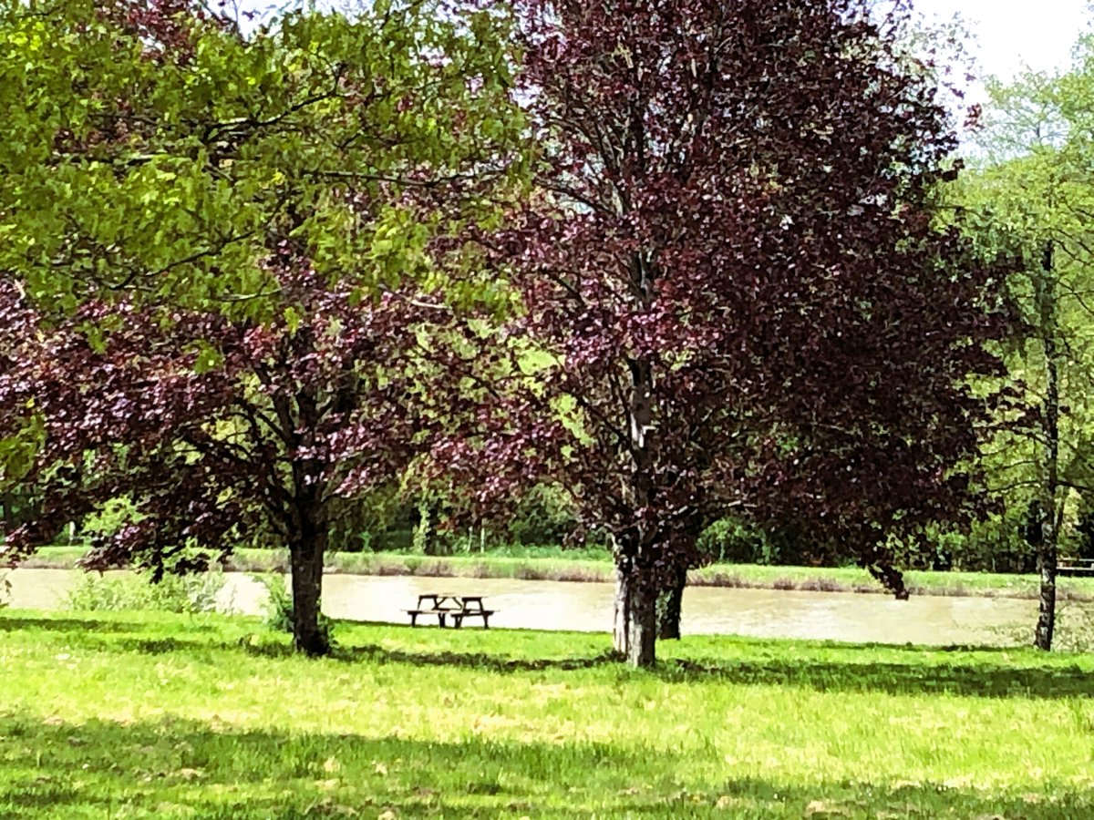 Mon banc dominical / My Sunday Bench...by the 'plan d'eau' at Betz-le-Chateau in Southern Touraine. @Pauline_Nollet @GaiaGR36 @JusteCentriste @ElfieNeuberger @DocArnica @MyFaveBench @PF33160 @DELARUEEm @Salerpipopette @so_tourisme @philippepoustis @PuthonM @Slygardy @67PJ