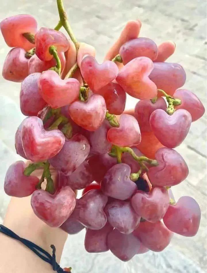 Heart shaped grapes