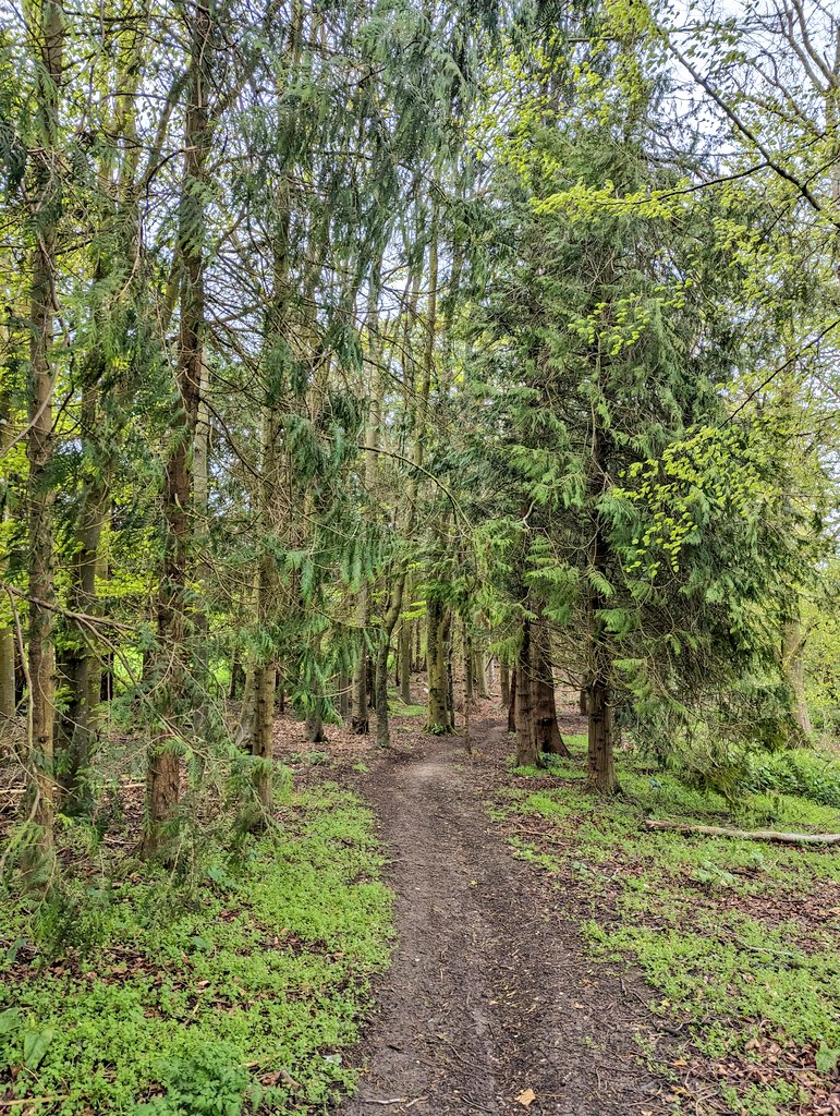 Rebecca Spence tweet media