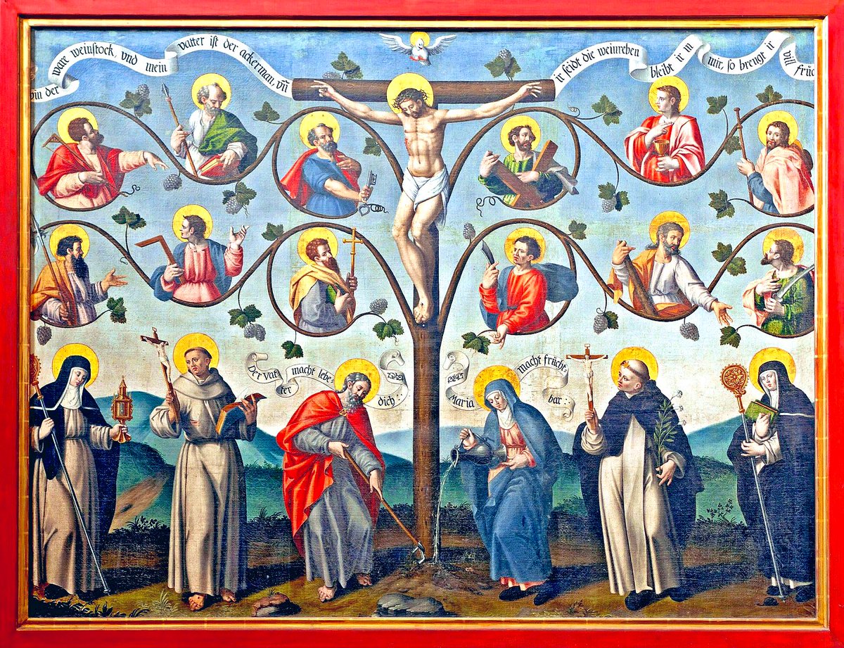 ‘I am the vine, you are the branches.’ Gospel of St. John