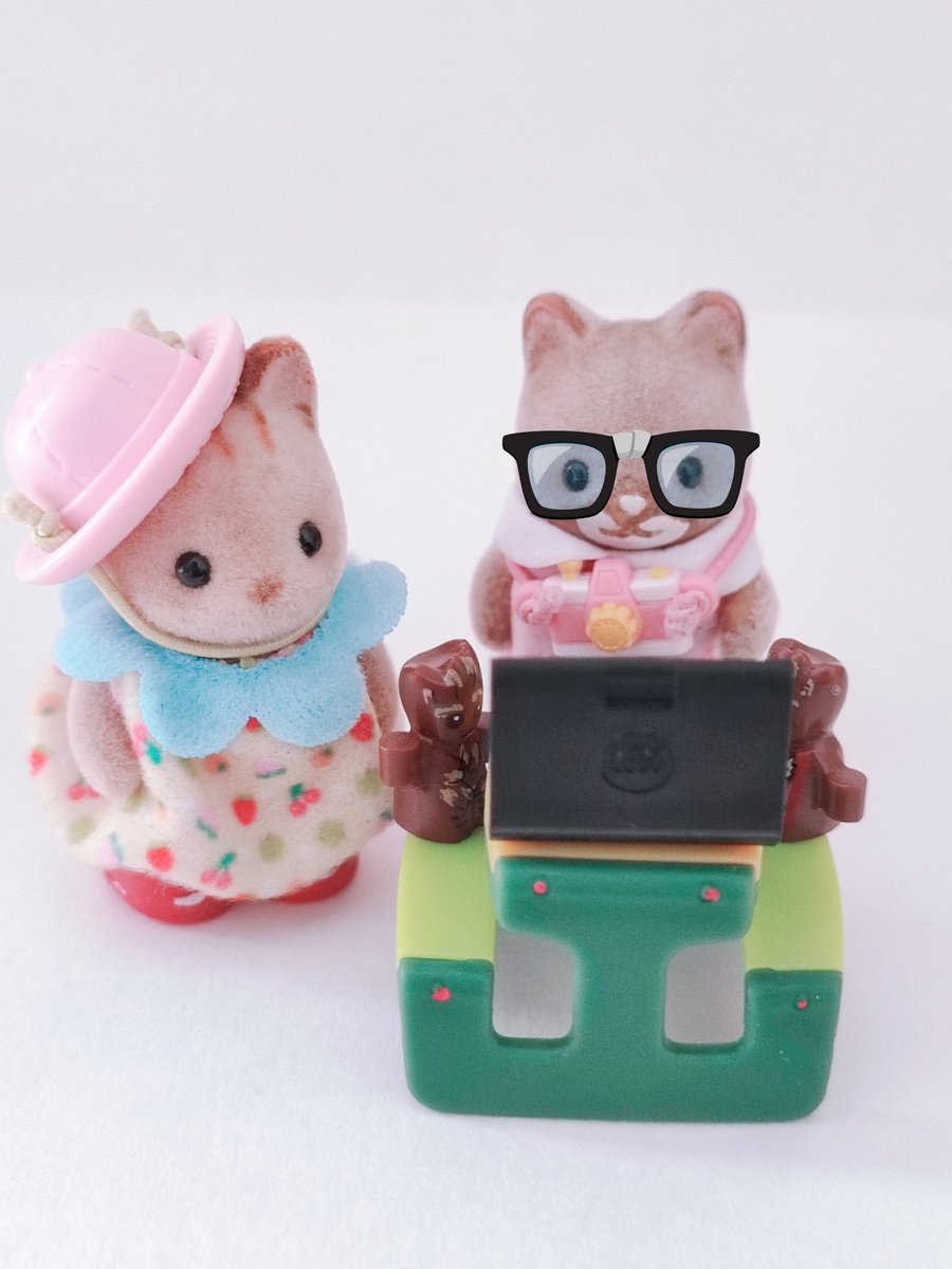 schrei_und_tod's tweet photo. Working with two Baby Groots
#cute #かわいい #cutenessOVERLOAD #シルバニアファミリー #シマネコ #シルバニアの赤ちゃん
#calicocritters #SylvanianFamilies #AmosShima #ShimaBebe #Microtoys #MiniLittleTikes #BabyGroot https://t.co/JiMdDr1a1p