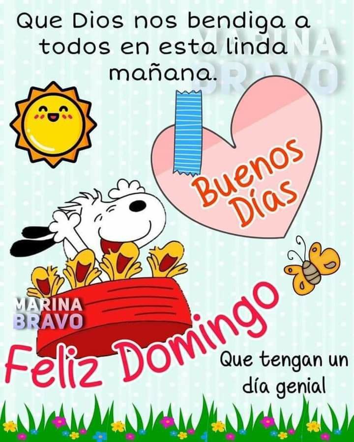 alexccabrera's tweet photo. Buenos días ⛅💕☀
Bendecido domingo https://t.co/F1hoTWE7yz