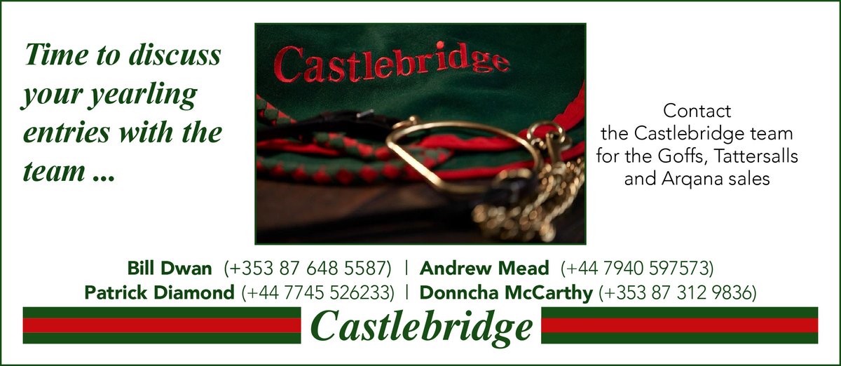 🟢🔴 Time to discuss your yearling entries with the @TheCastlebridge team... 🔴🟢 📱 Contact the Castlebridge team for the Goffs, Tattersalls and Arqana Sales. 👉 See contact details below or visit castlebridgesales.com