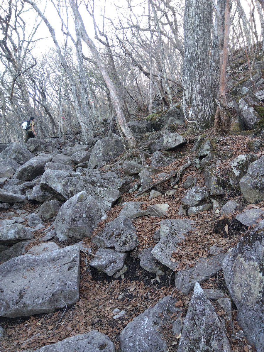 本日は寄付ならぬ、みやした寄歩のため赤城山の黒檜山へ登りました⛰️
昨日はGoogleFitをインストールしてないしくじりを犯しましたが今日はバッチリ🐱