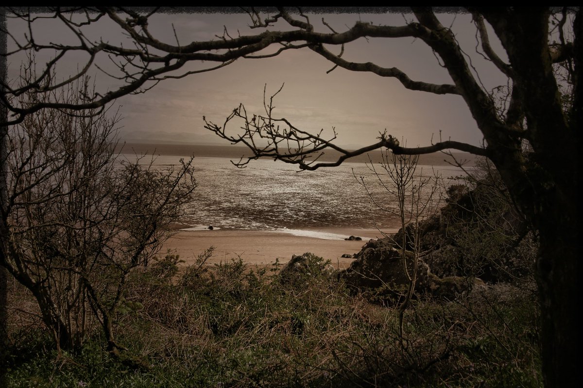 … twilight seaside …