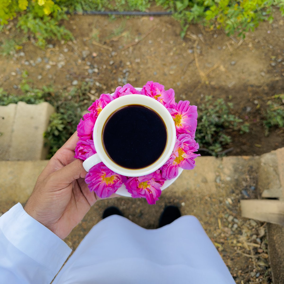 94ahm1's tweet photo. الطائف هي وجهة ابريل 🌸 https://t.co/MvPnBApi5Z