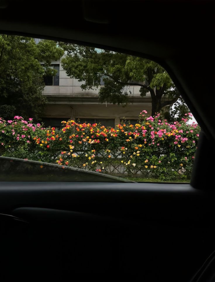 بحر 🌊 (@butterflless) on Twitter photo 