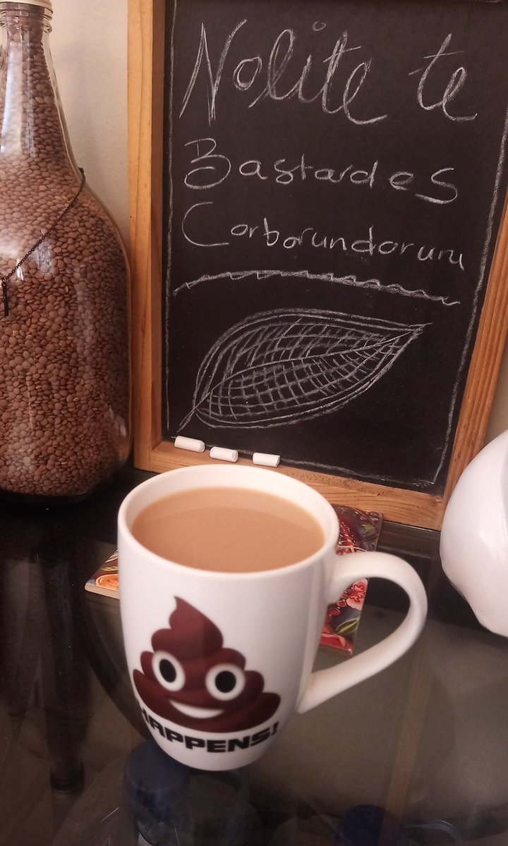TerreStephanie's tweet photo. @strategywoman Morning Yara, may we share a calm and cheerful morning. My silly cup of #wartea this morning: 

#SlavaUkraïni 
#StandWithUkraine https://t.co/Z559HTXUv3
