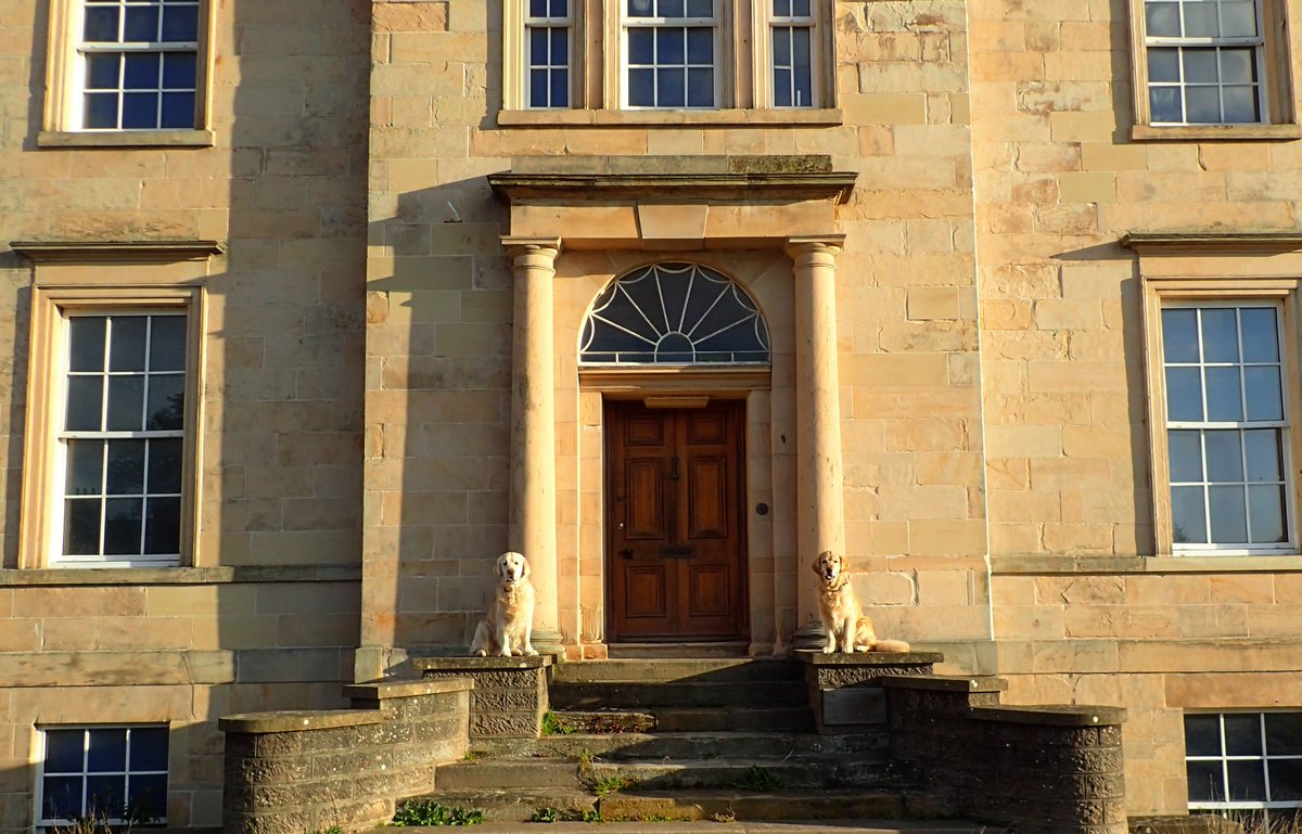 6.30 am Sunday morning and the sun was shining 🌟 on the Foo Dogs 🐶 🐶 guarding the once beautiful, now abandoned Highfield House in Elgin. Unfortunately it's now raining 😞 Where's blimmin Summer?