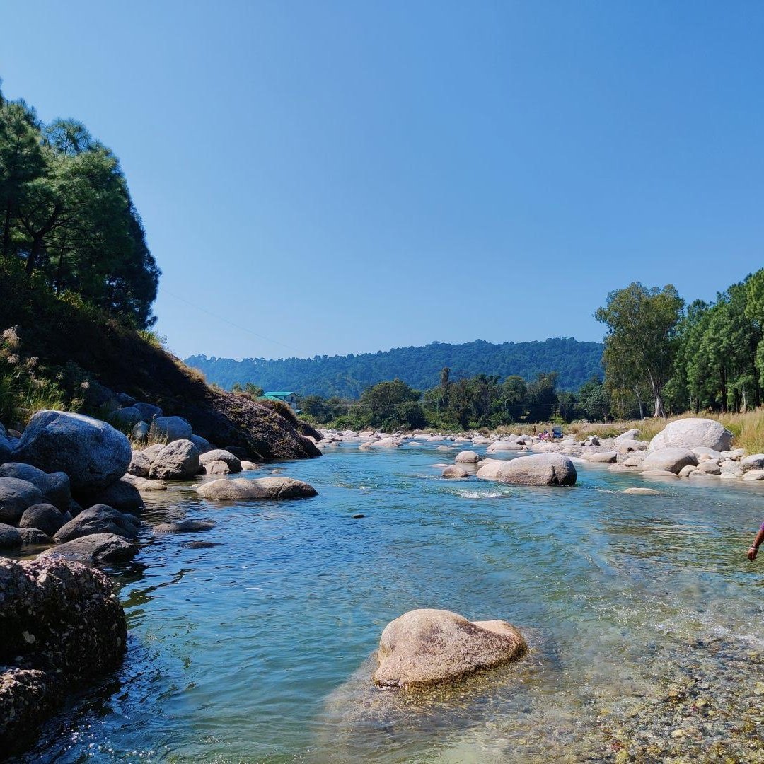 Neugal  Khadd, Palampur

Crystal clear and cold water direct from the Dhauladhars. The perfect spot to swim in summers.