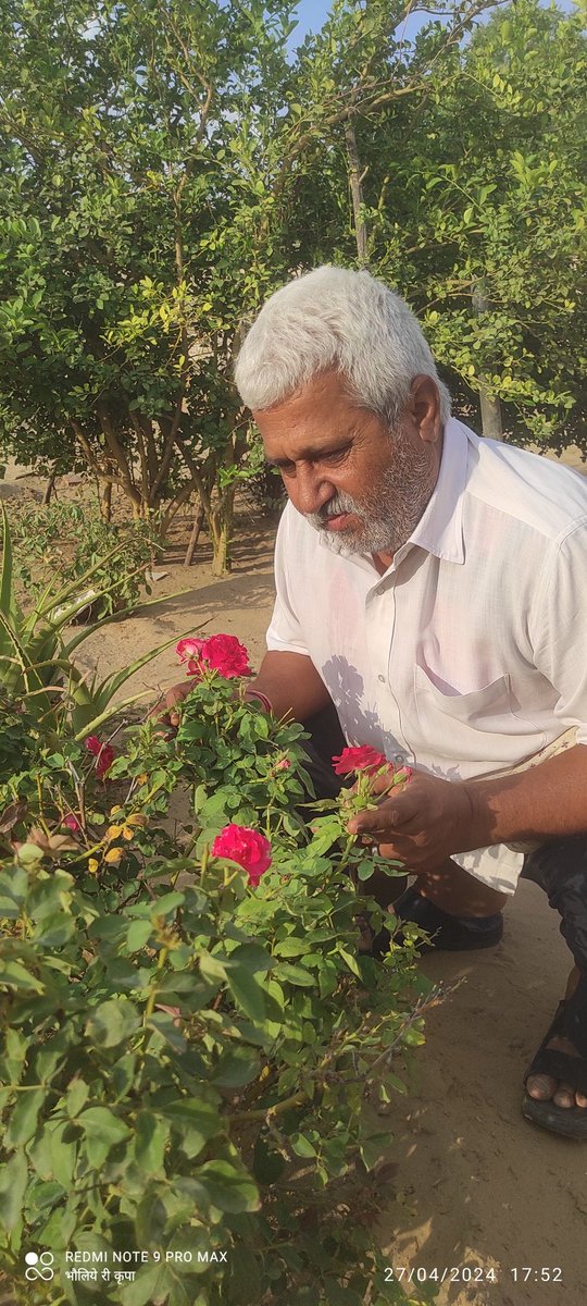 कड़वा सच है राजनीति का..... बाड़मेर सीट पर हार- जीत का रिजल्ट 70 हजार से एक लाख तक में रह सकता है... @RavindraBhati__ @UmmedaRamBaytu @KailashBaytu @BhajanlalBjp @Rajucharan009g1 @Rajucha68635275 @RajuCha20348926 हर हर महादेव भौलिये री कृपा से👌👌✅✅