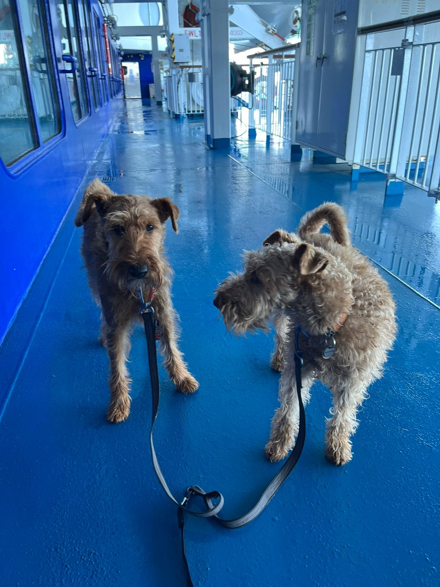 Odin the Great & Little Miss Astra tweet media