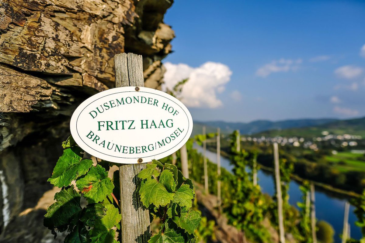 Exciting to spot Riesling from the esteemed Fritz Haag estate highlighted by @wine_philosophy in today's @businessposthq 🇩🇪 📢🥂