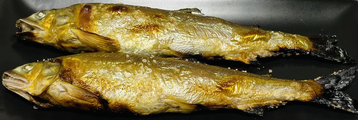 今日の晩御飯はお魚🐟