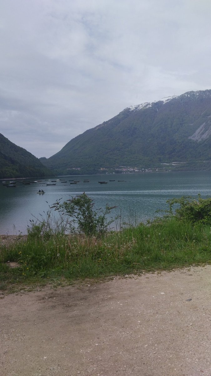 _cibi99_'s tweet photo. Ci si tiene in forma😀 #28aprile #LagoDiSantaCroce #Veneto https://t.co/73xzZCmsJW