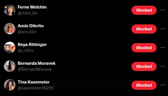 digicamltd's tweet photo. Take a look at all the fake female spammy porn profiles I had to block today!

Well done @elonmusk you sure cleaned up X!

@TwitterComms @TwitterDesign @Support https://t.co/RcKNvhl8av