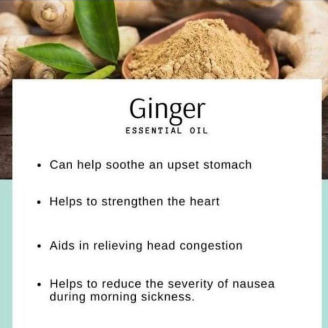 Benefits of ginger essential oil #essentialoils #aromatherapy #youngliving #natural #wellness #skincare #essentialoil #yleo #organic #handmade #selfcare #healthylifestyle #health #oils #smallbusiness #vegan #Health #naturalskincare #beauty #lavender