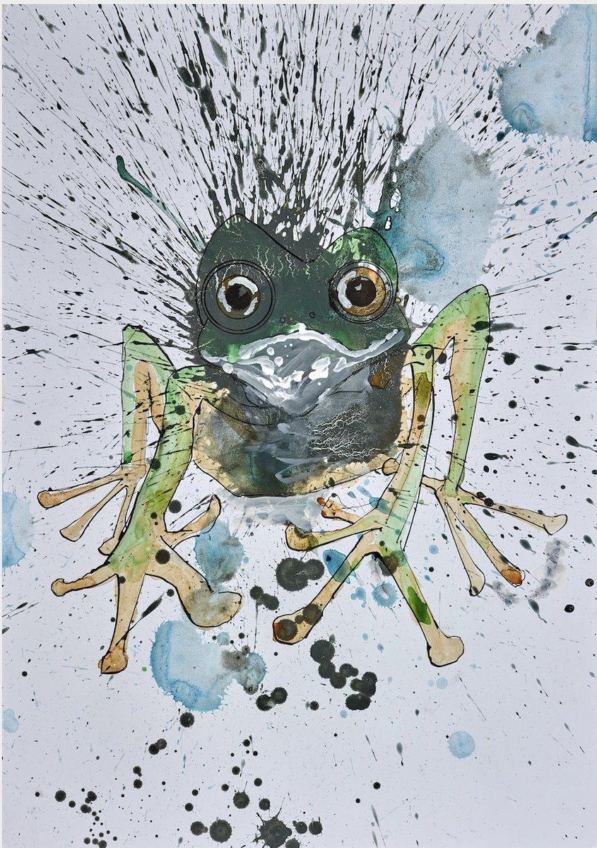 Frogs: amphibious jesters of the marshlands, their croaks a cacophony of swampy symphony. With bulging eyes and webbed feet, they leap into the chaos of the night, heralds of wetland wonder.

#SaveFrogsDay #RalphSteadman #Illustration