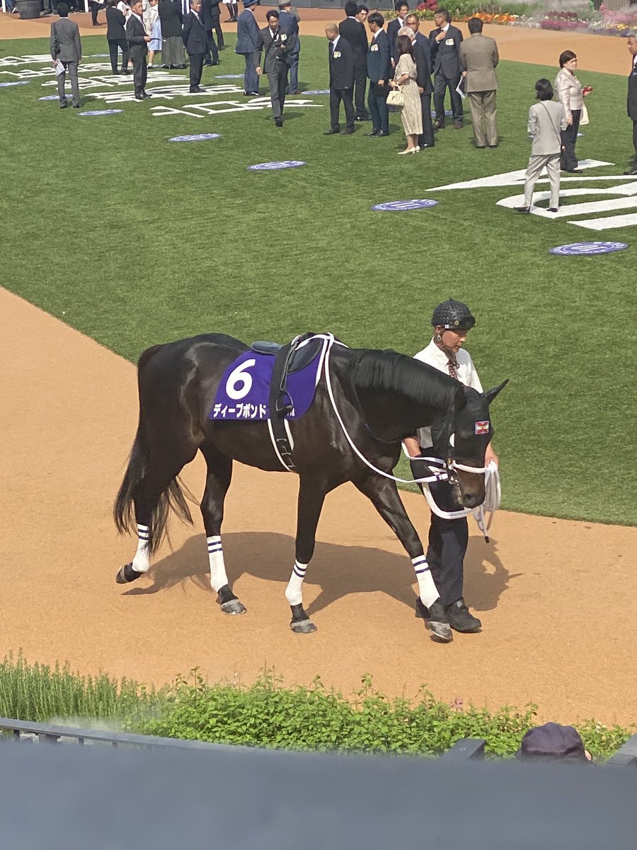 鉄 薄亞🍈🍸 (@Kuro_gaN3_hAcua) / Posts / X