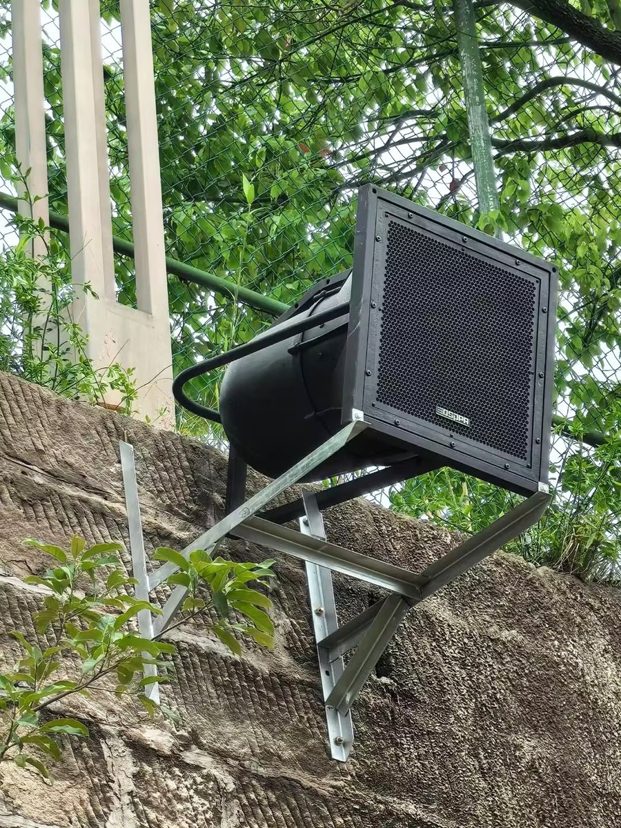GuangzhouDSPPA's tweet image. Case sharing📢 The #DSPPA sound system for Chongqing Sun Yat-sen Foreign Language School.🏫 🎒
More at: dsppatech.com
#dsppaaudio #newreference #paproject #soundsystem #speaker #hornspeaker #pa #safeandsound #drsound