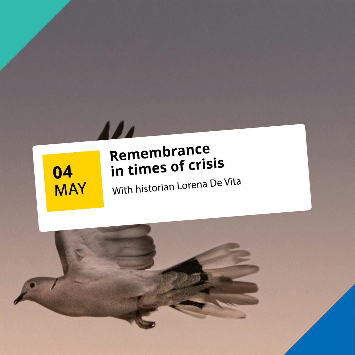 What defines how we commemorate? On May 4, historian @Lorena_De_Vita will reflect on the politics of memory and forgetting in our time, and how it is affected by the remembrance of WWII. More info / signing up: sg.uu.nl/agenda/2024/re… 🕊️ #studiumgenerale #utrecht @HumanitiesUU