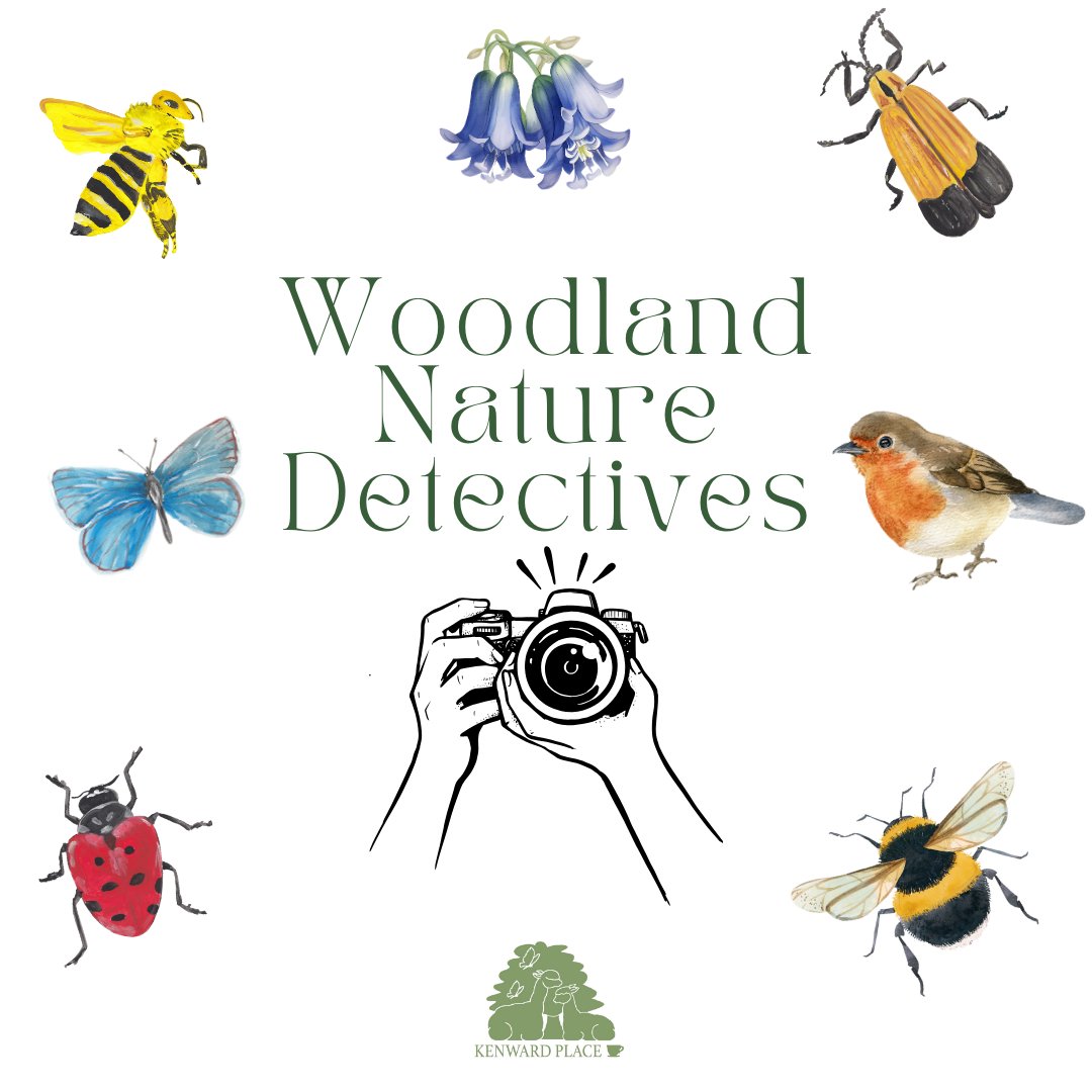 Calling all Nature Detectives📣 Equipped with a detective kit including a digital camera, binoculars, and jars for mini-beasts, engage in hands-on exploration. Until 1st June 📍Kenward Place, Yalding