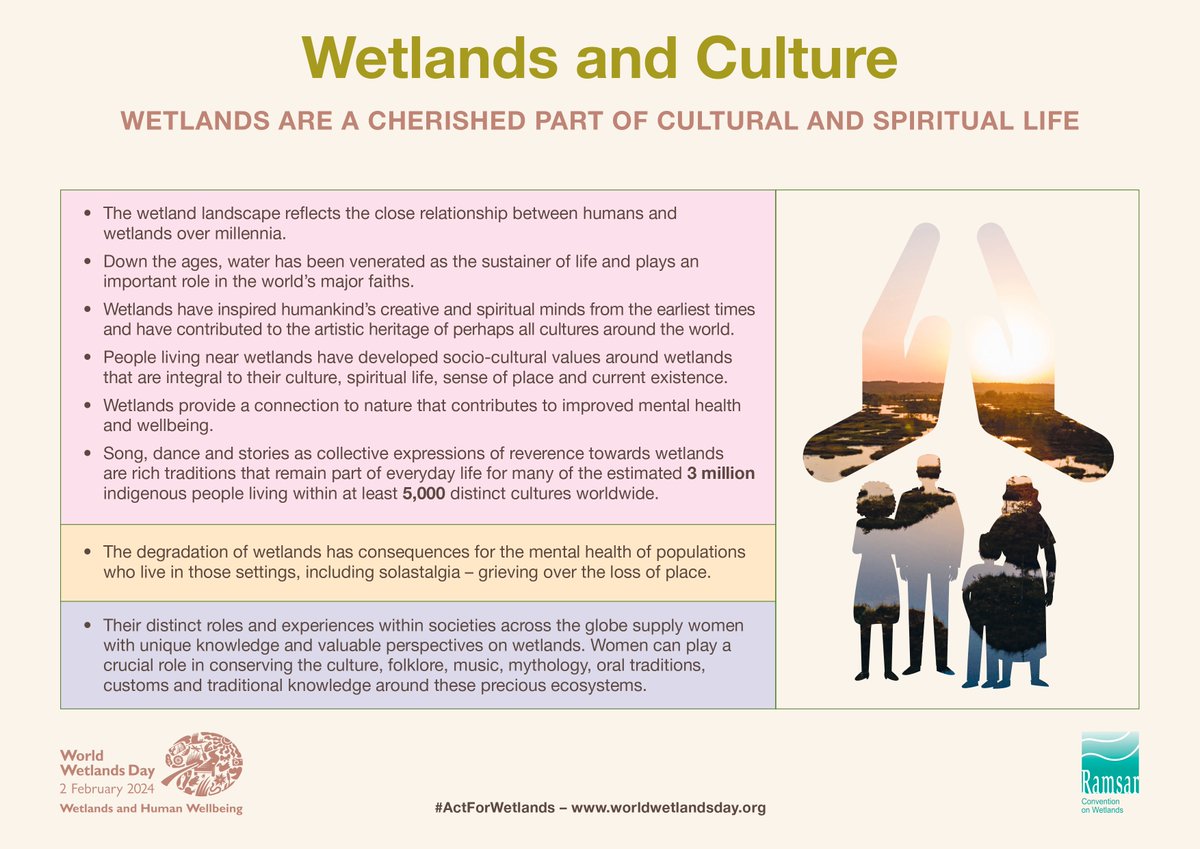 🏞️ People living near wetlands have developed socio-cultural values that are integral to their way of life, including spiritual connections. Additionally, the presence of wetlands fosters mindfulness, promoting emotional balance and wellbeing. #WetlandsandPeople #WetlandsMatter
