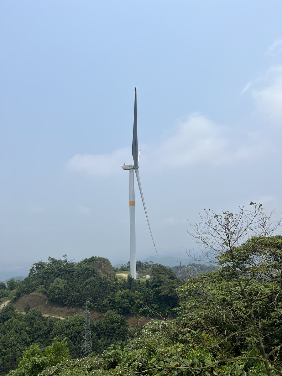 sandwich186 tweet media