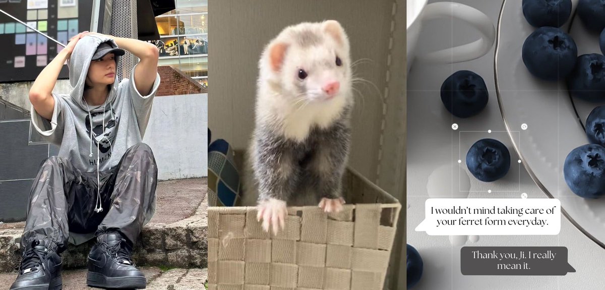 Taking Care of a Ferret, [“My Ferret Flatmate” Universe] a hyunsung au — by favoritescrime