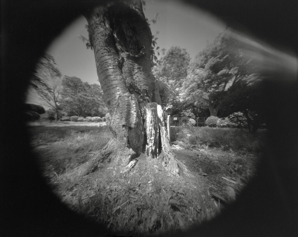 森羅万象

Homemade 4x5 Pinhole Camera (0.2mm f200) / Fomapan 200 (Kodak D-76)

#filmphotography
#pinholrphotography
#ピンホール写真