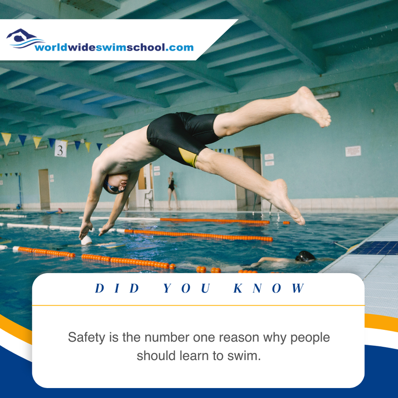 🏊 Learning to swim is not just a fun and enjoyable activity, but it is also essential for ensuring our safety in and around water. 

➡️ Learn how to skill build for the adult learner. 
wwsshub.ditaplayer.com.au/catalog/catego…

#WorldWideSwim #WorldWideSwimSchool #SwimTeachers #SwimCoach