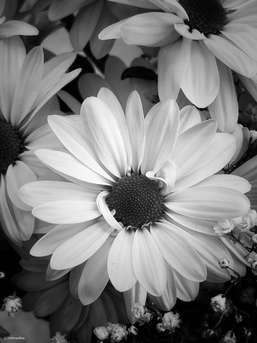 ƵϢ (@zeitwunden) on Twitter photo 