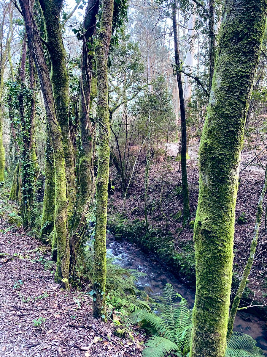 Un paseo por las orillas del Sar