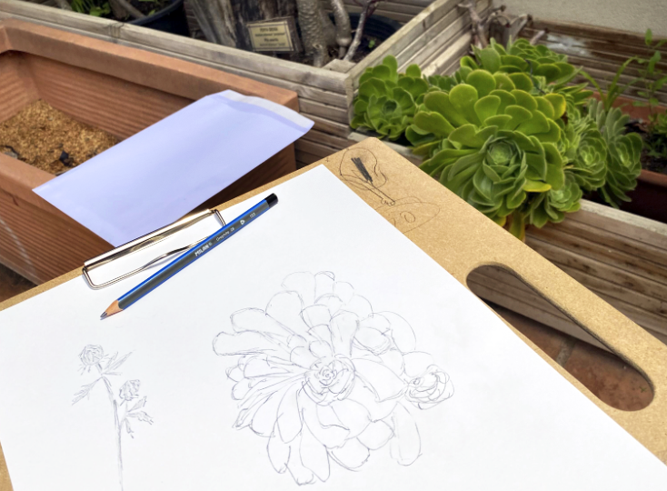 Museu Nacional d'Art de Catalunya | MNAC tweet media