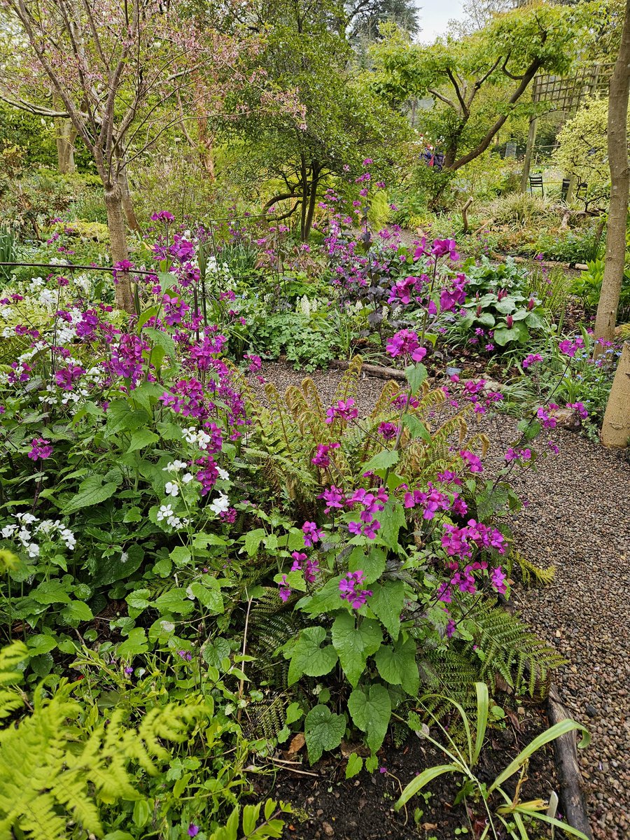 Two excellent talks, from Angela Tandy on ferns and @HGPictonGarden on shade plants, at the @HardyPlantSoc Shade and Woodland group study day. Large plant stall was virtually cleared by members. Followed by a visit to the fabulous @PictonGarden 
A great day, enjoyed by all.