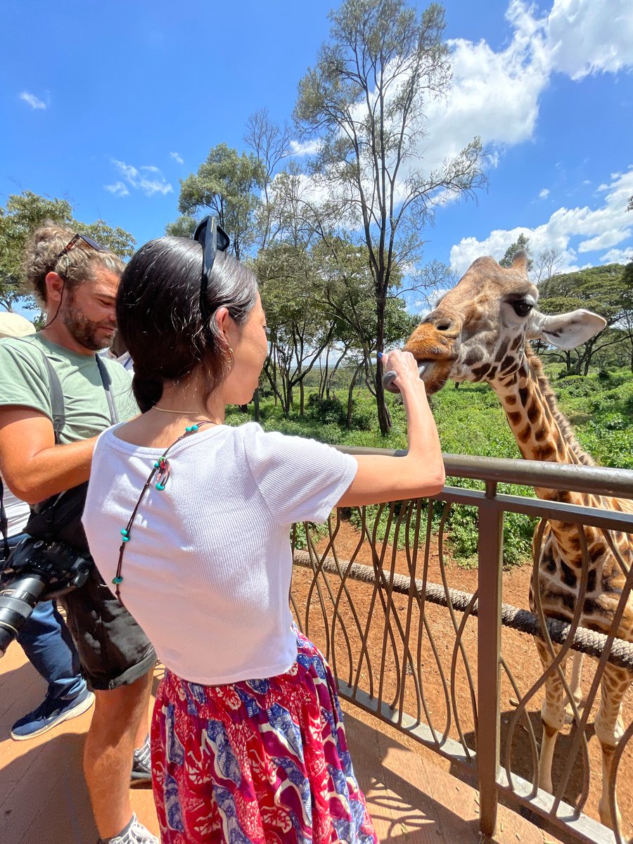 RAHA_KENYA's tweet photo. ＼7/27~30開催📣／
世界とつながるアフリカツアーinケニア🇰🇪

ダンス交流やオーダーメイド体験、児童養護施設訪問など、ごめさん( @nakagomet63 )と開催する唯一無二のコラボツアー🔆

すでに9名の方の参加が決定！🤝
あと3名さまのみ受付可能です◎

👇詳細はコチラ
https://t.co/jSpSBmhOLT https://t.co/lwBbHuwVFl