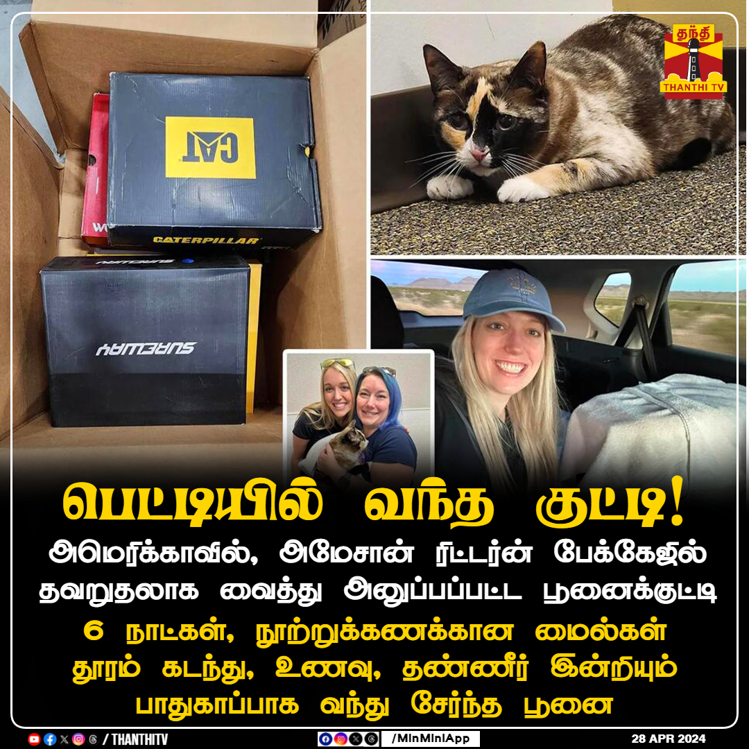 ThanthiTV's tweet photo. பெட்டியில் வந்த குட்டி!
அமெரிக்காவில், அமேசான் ரிட்டர்ன் பேக்கேஜில் தவறுதலாக வைத்து அனுப்பப்பட்ட பூனைக்குட்டி
6 நாட்கள், நூற்றுக்கணக்கான மைல்கள் தூரம் கடந்து, உணவு, தண்ணீர் இன்றியும் பாதுகாப்பாக வந்து சேர்ந்த பூனை
#America #AmazonParcel #Cat #ReturnParcel #ThanthiTV https://t.co/GNx8KD1opR