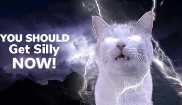 catt tweet media