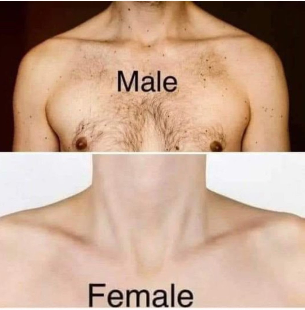 Clavicles Don't Lie‼️‼️ The Truth Has Always Been In Plain Sight 👀👇🏽👇🏽