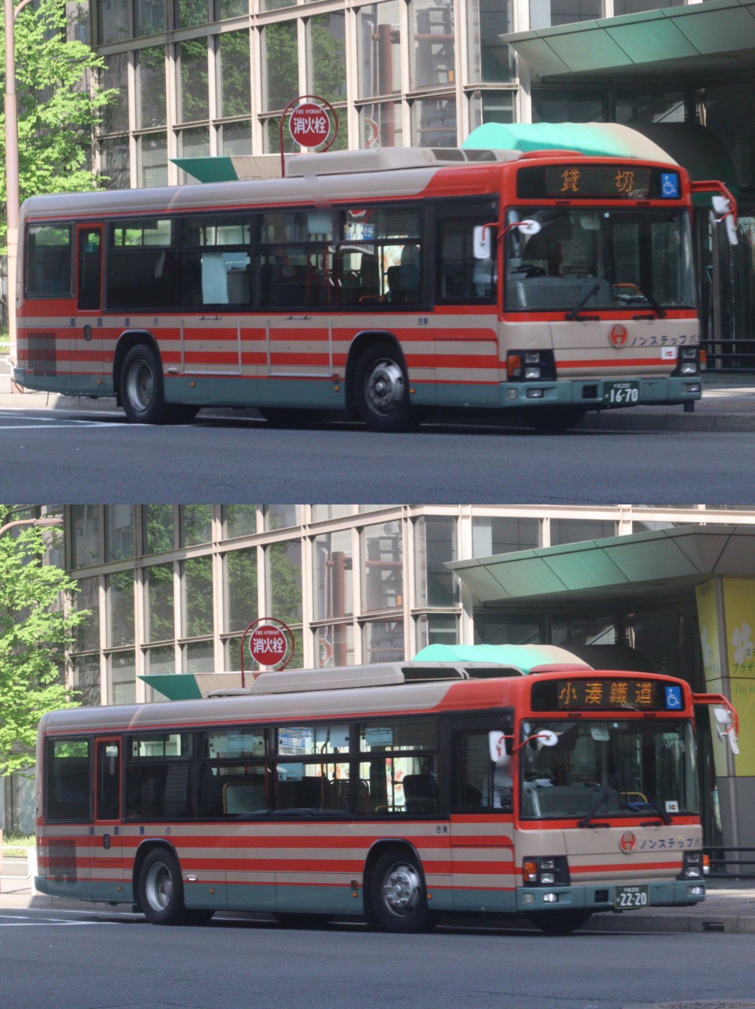 9MA-CHANHJ3年4ヶ月分3/3 2025年静岡新茶】新茶＆ようかんセット: JAしみずアンテナ