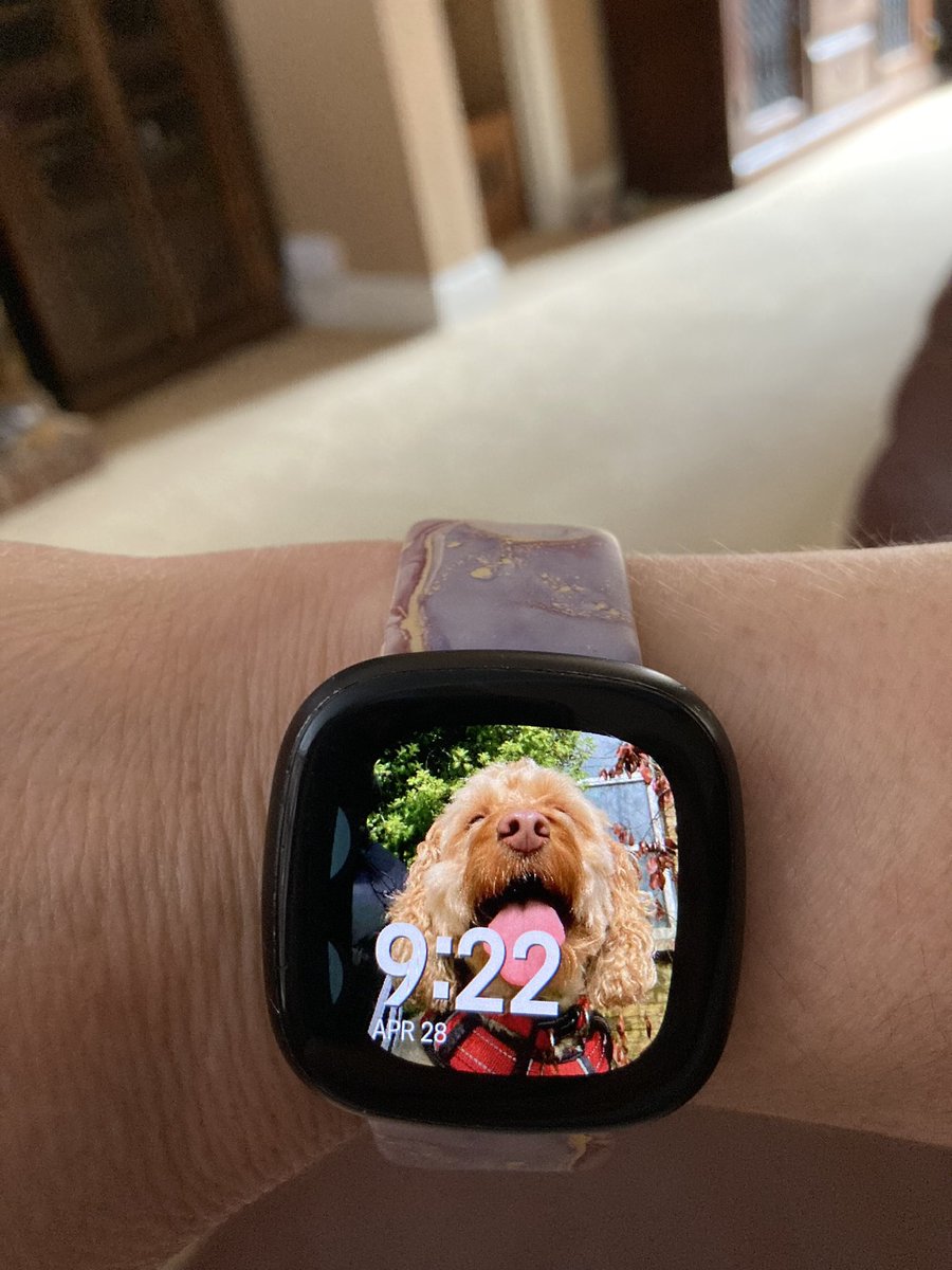 Thank you @FitbitSupport my versa is working again with a beautiful picture of my dog 🐶