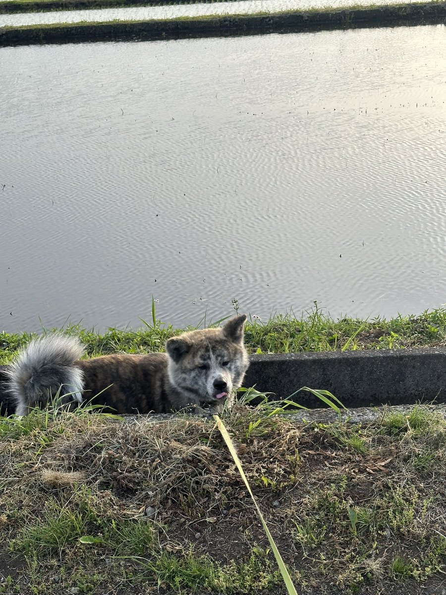 夕方もな🤟