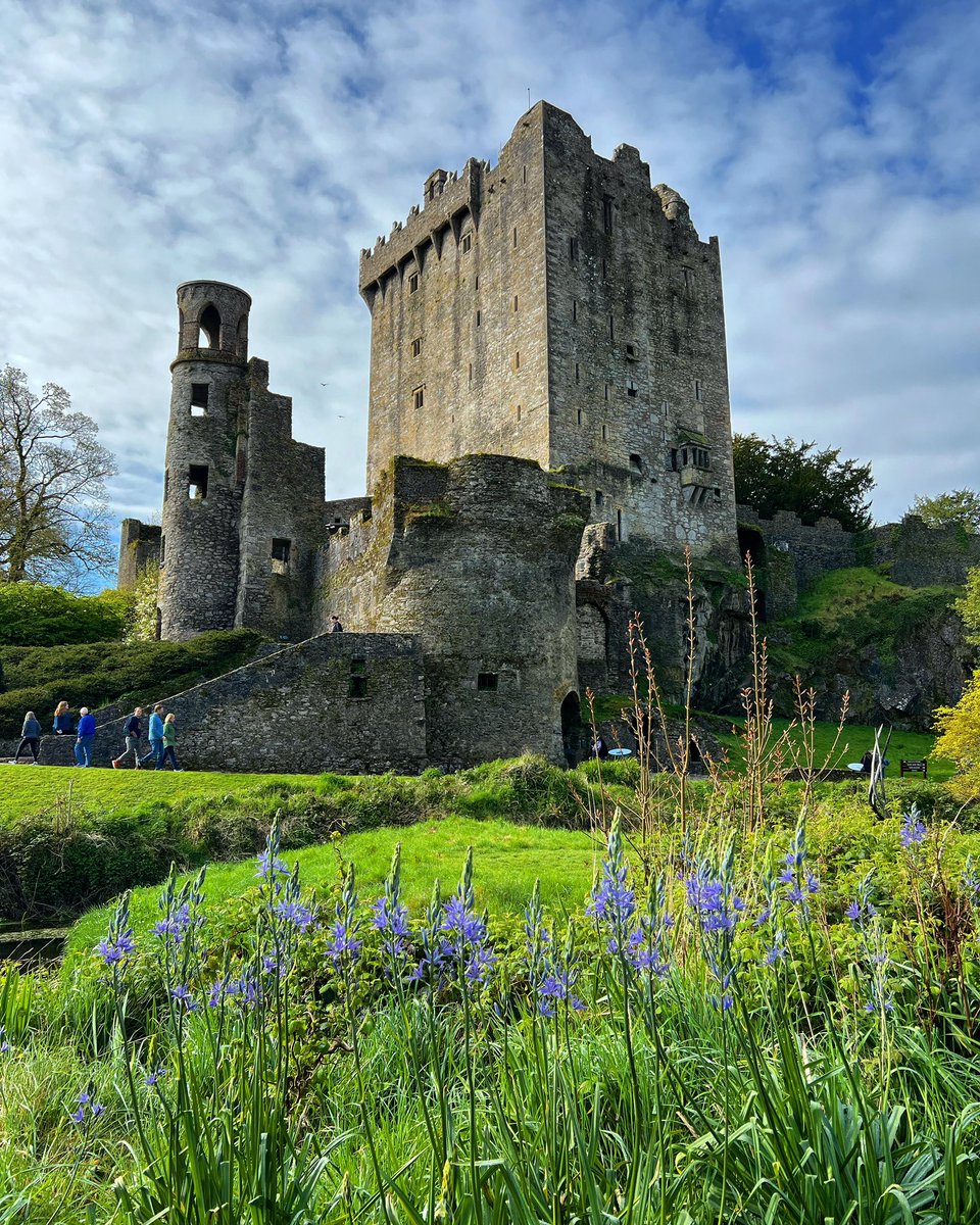 Another glorious morning in the Castle & Gardens! Perfect location for a Sunday Stroll!!

#blarneycastle #blarneycastleandgardens #blarneystone #cork #ireland #irelandsancienteast #discoverireland #spring