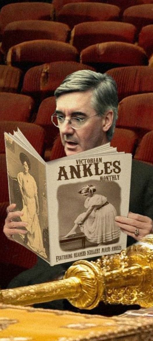 After a traumatic Friday night protest Rees Mogg relaxes at home 🤣🤣
#ToriesOut661 #SunakOut551 #GeneralElectionNow #Sunackered #ToriesUnfitToGovern #ToryScumOut