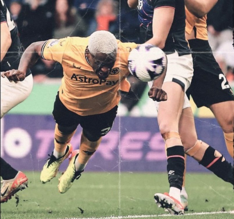 Wolves Fancast tweet media