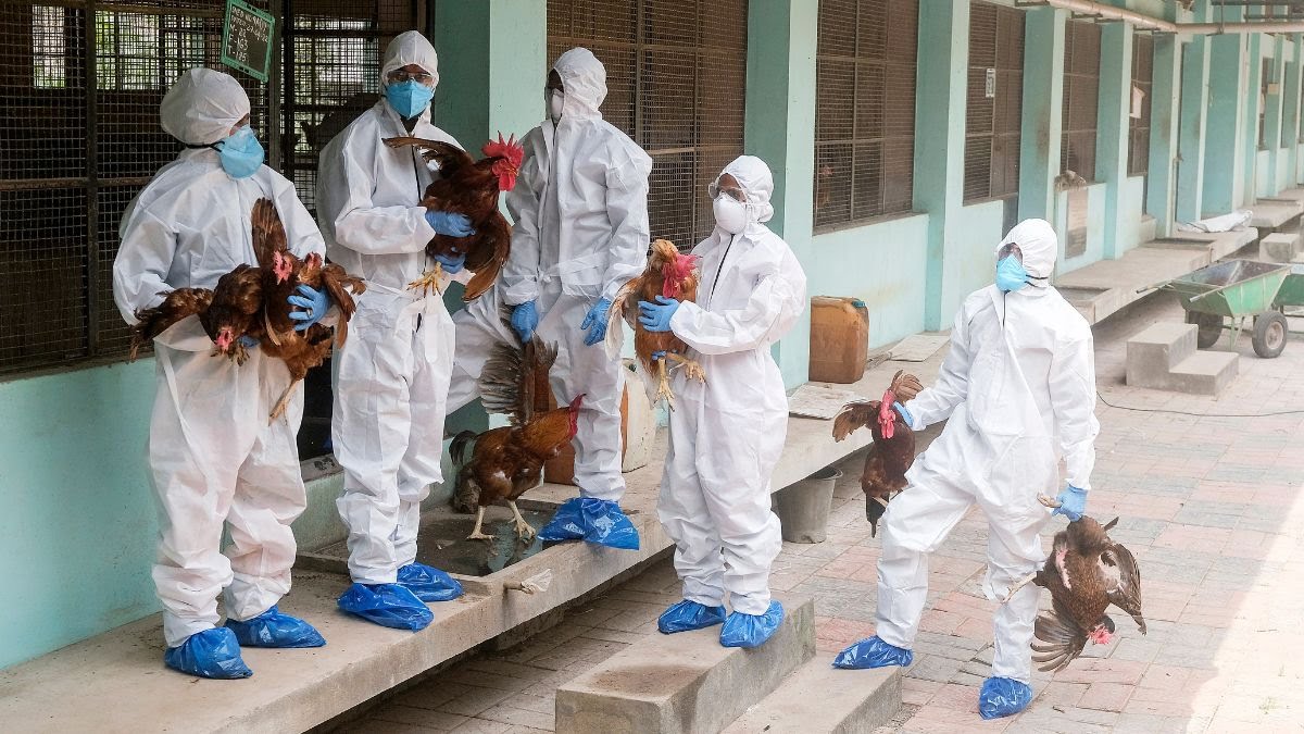 COVID19_disease's tweet photo. ⚠️ BREAKING

Rapid spread of bird flu in Ranchi 🇮🇳 02 doctors and 06 people in quarantine

According to officials, the JSIA government building has been converted into a bird flu ward. https://t.co/NANEaZsAbN