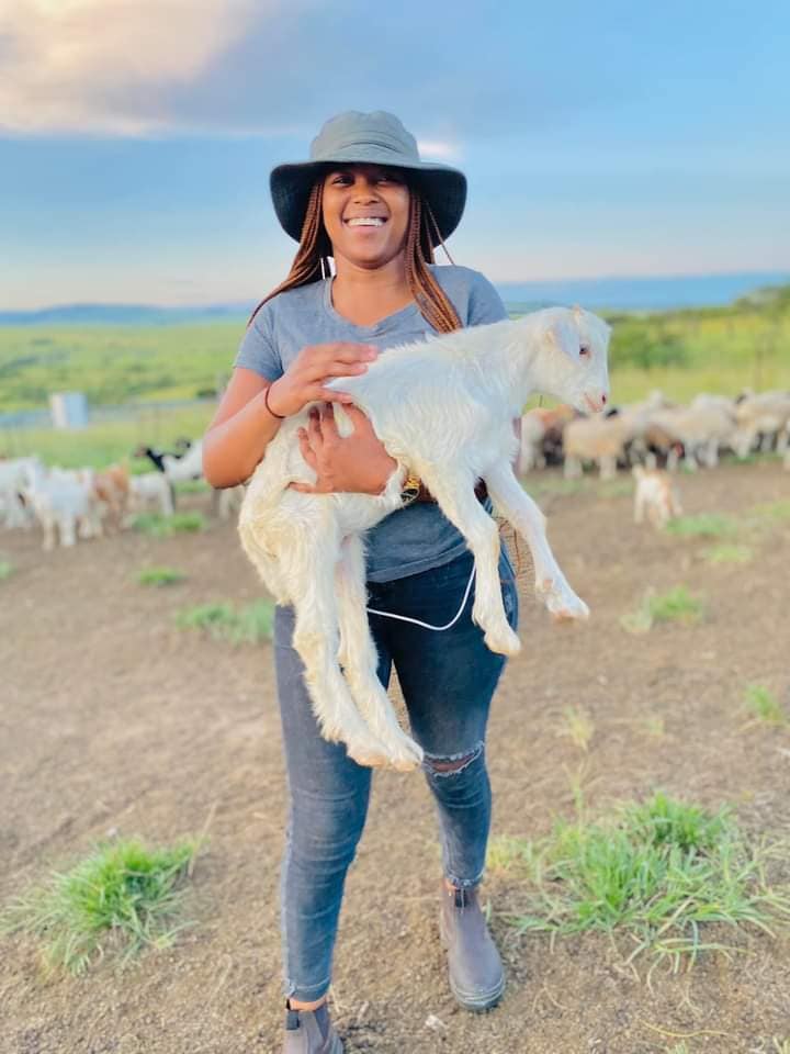 Happy Weekend dear farmers!

To the #goatfarming enthusiasts, say hi and stay turned on for tomorrow's #thread about the initial steps to own a successful goat farm.

Thanks for sharing these news.