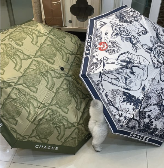 Omggg baru tahu Chagee release lagi limited edition umbrella ni!! Sumpah lawaaa, one Dior vibe, another one Gucci vibe💗✨