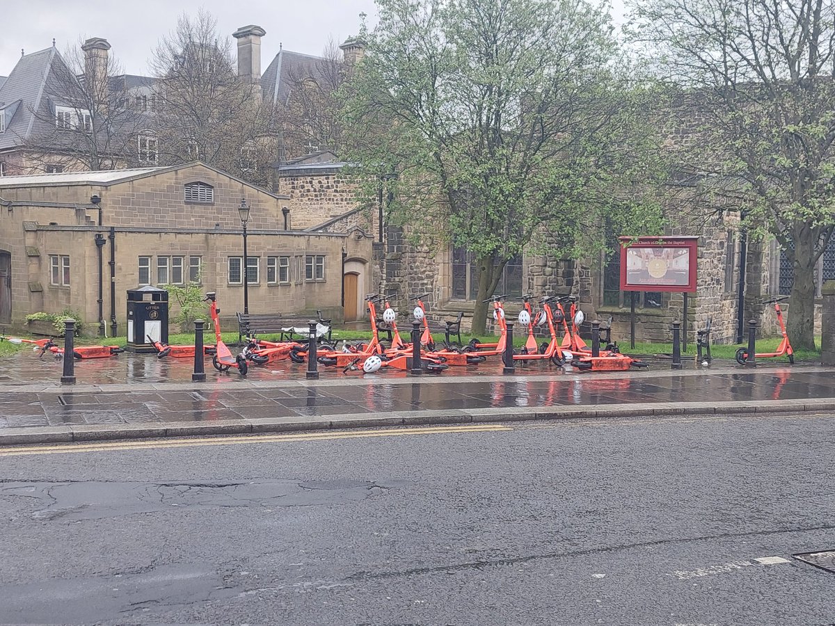 Walking to the train station & I spotted a flock of wild scooters. Stunning